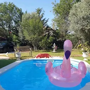 Hollidays Piscine Et Jardin Plan-de-Cuques